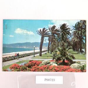 Palisades Park Santa Monica California 1950s Postcard CA PC 1957 101-A Beach